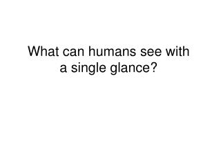 What can humans see with a single glance?