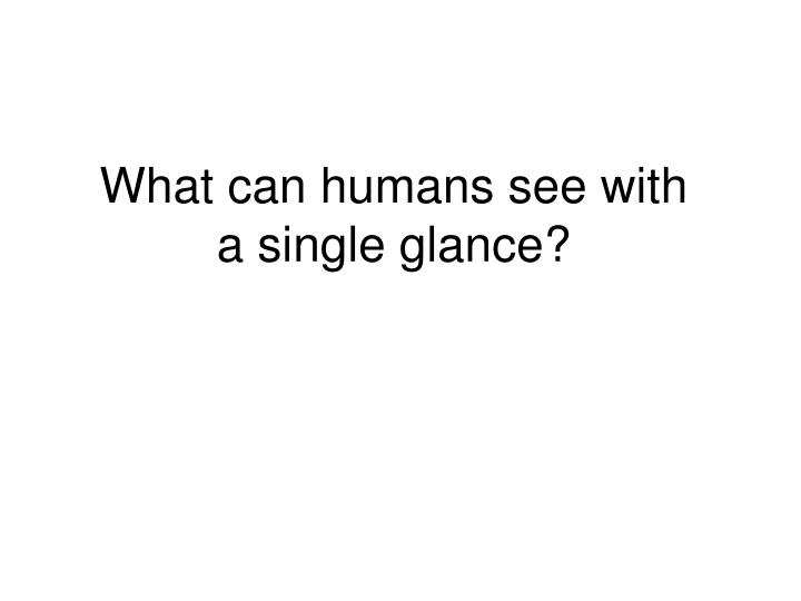what can humans see with a single glance
