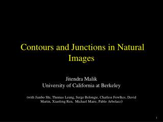 Contours and Junctions in Natural Images