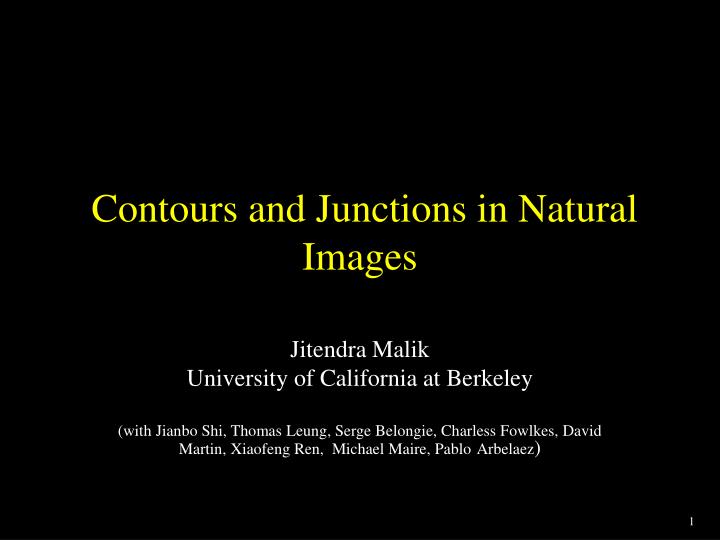 contours and junctions in natural images