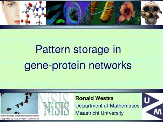 Pattern storage in gene-protein networks