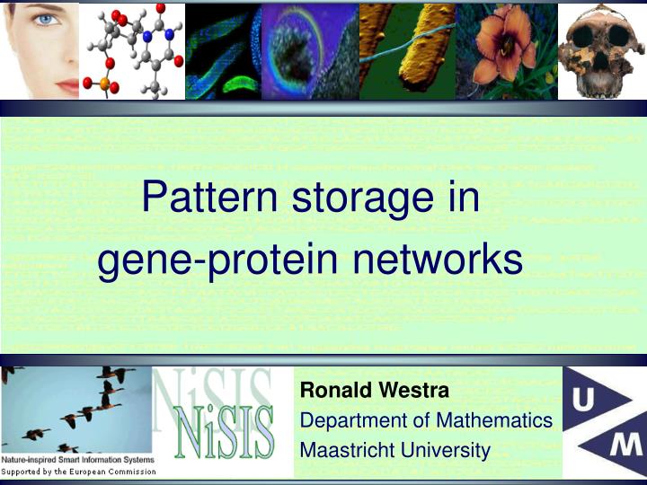 pattern storage in gene protein networks