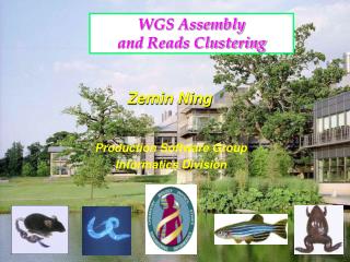 WGS Assembly and Reads Clustering
