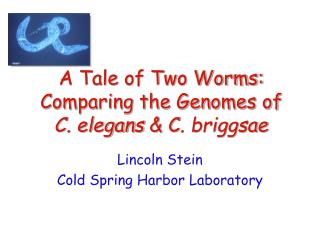 A Tale of Two Worms: Comparing the Genomes of C. elegans &amp; C . briggsae