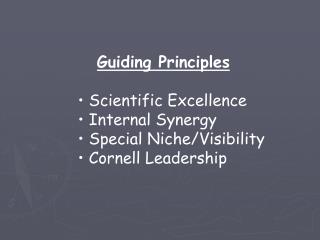 Guiding Principles Scientific Excellence Internal Synergy Special Niche/Visibility