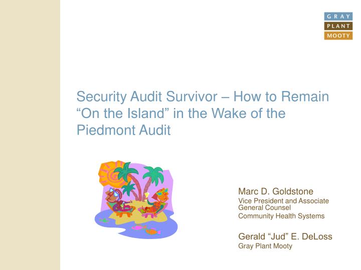 security audit survivor how to remain on the island in the wake of the piedmont audit