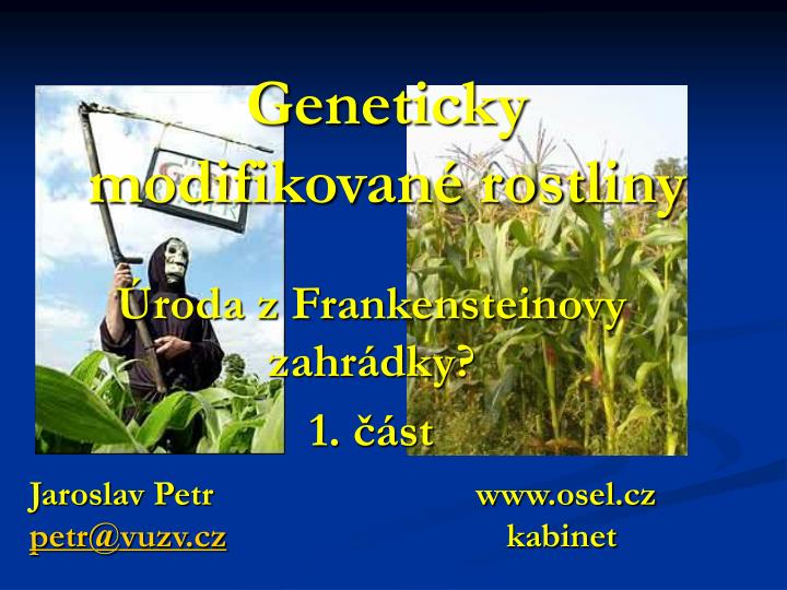 geneticky modifikovan rostliny