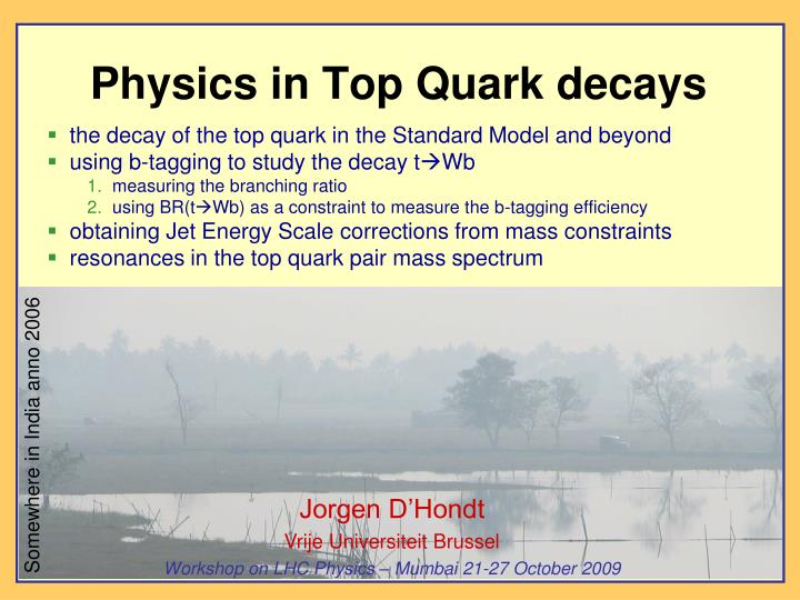 physics in top quark decays