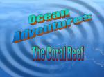 Ocean Adventures - slide 1