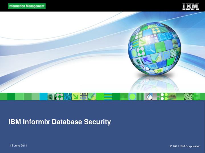 ibm informix database security