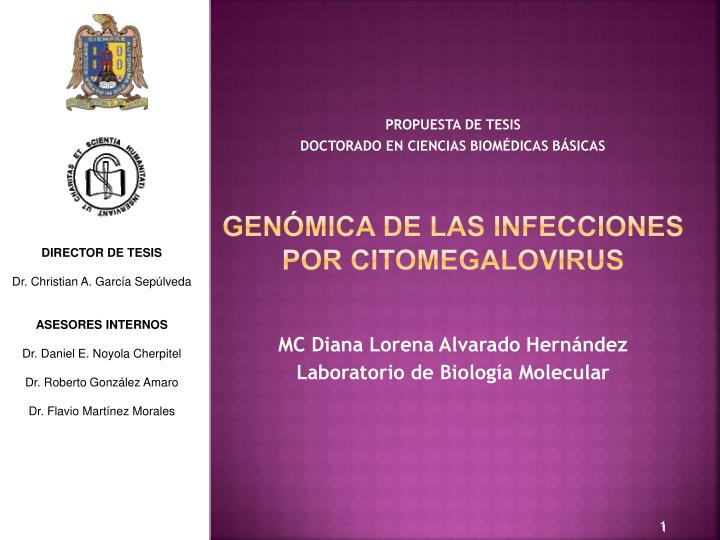 gen mica de las infecciones por citomegalovirus