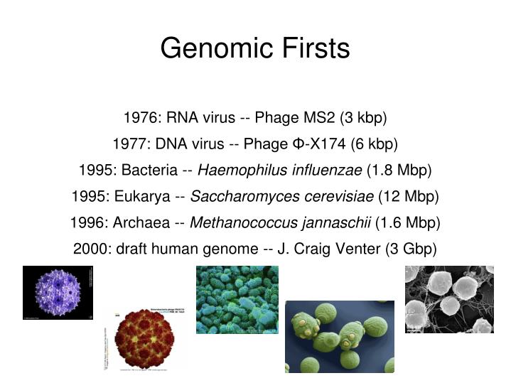 genomic firsts