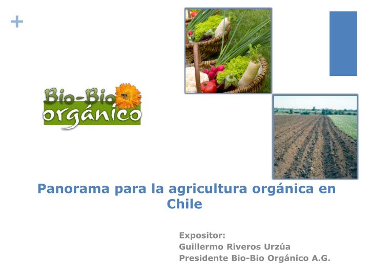 panorama para la agricultura org nica en chile