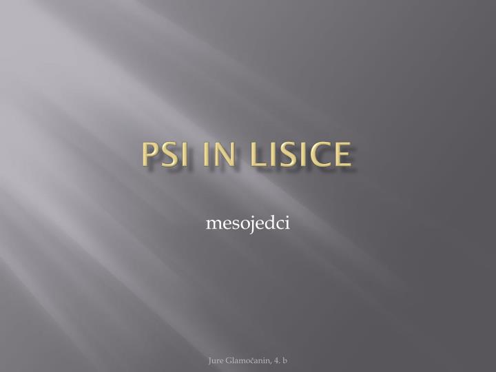 psi in lisice