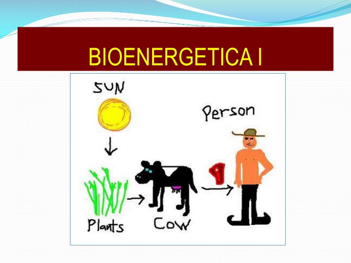 bioenergetica i