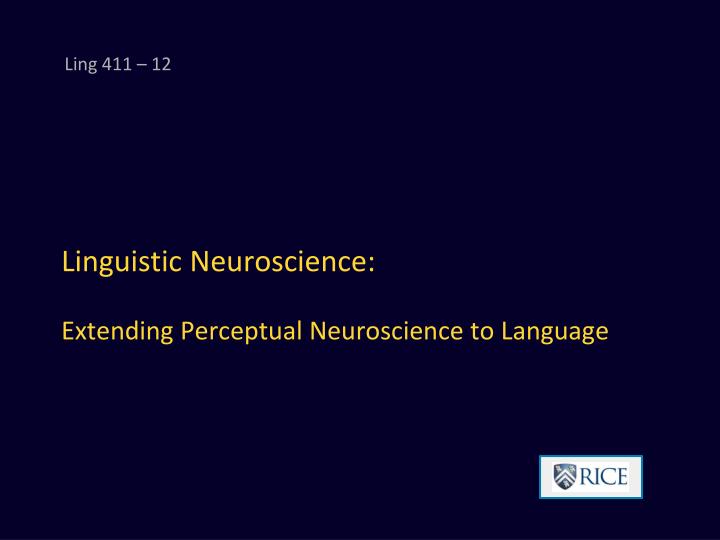 linguistic neuroscience extending perceptual neuroscience to language