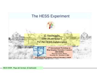 The HESS Experiment