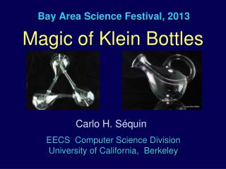 Bay Area Science Festival, 2013