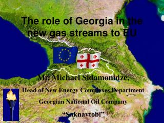 Mr. Michael Sidamonidze, Head of New Energy Complexes Department Georgian National Oil Company