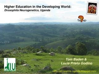 Higher Education in the Developing World: Drosophila Neurogenetics, Uganda