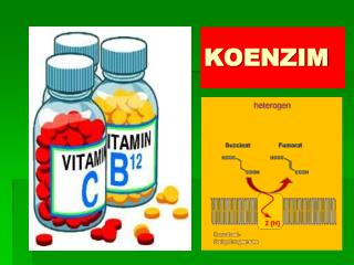 koenzim