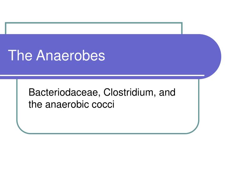 the anaerobes