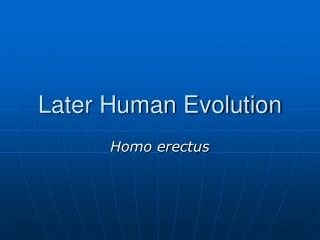 Later Human Evolution