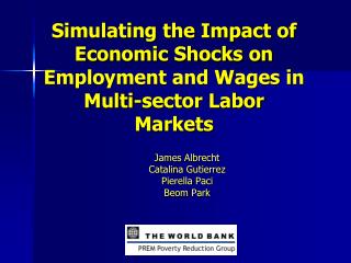 Simulating the Impact of Economic Shocks on Employment and Wages in Multi-sector Labor Markets