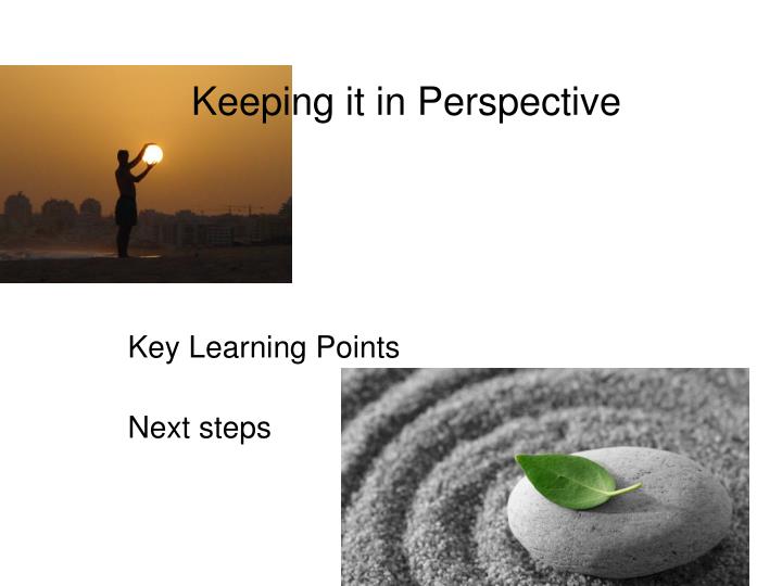 keeping it in perspective key learning points next steps