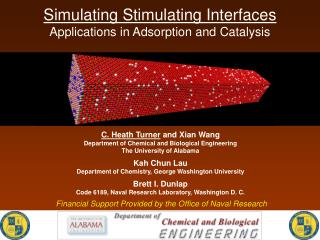 Simulating Stimulating Interfaces Applications in Adsorption and Catalysis