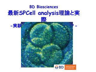 bd biosciences spcell analysis methods