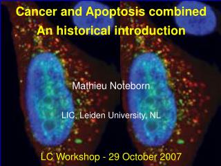 Cancer and Apoptosis combined An historical introduction Mathieu Noteborn