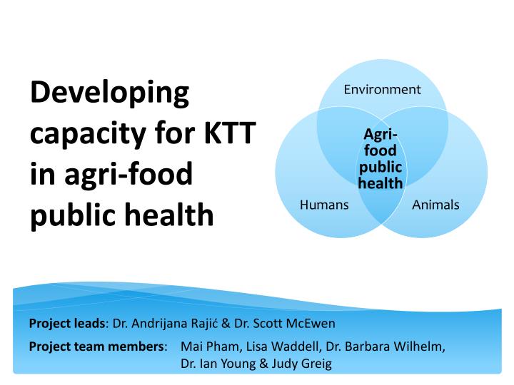 developing capacity for ktt in agri food public health