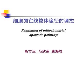 ???????????? Regulation of mittochondrial apoptotic pathways ??? ??? ???