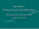 Lecture I Labour Law: Introduction - slide 1