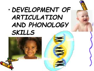 DEVELOPMENT OF ARTICULATION AND PHONOLOGY SKILLS