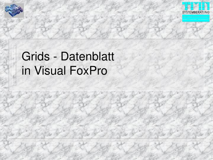 grids datenblatt in visual foxpro