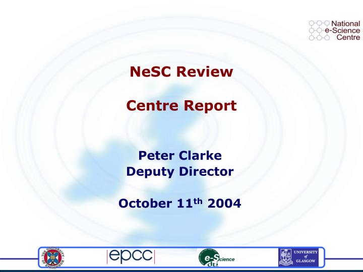 nesc review centre report