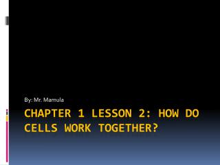 Chapter 1 lesson 2: How do cells work together?