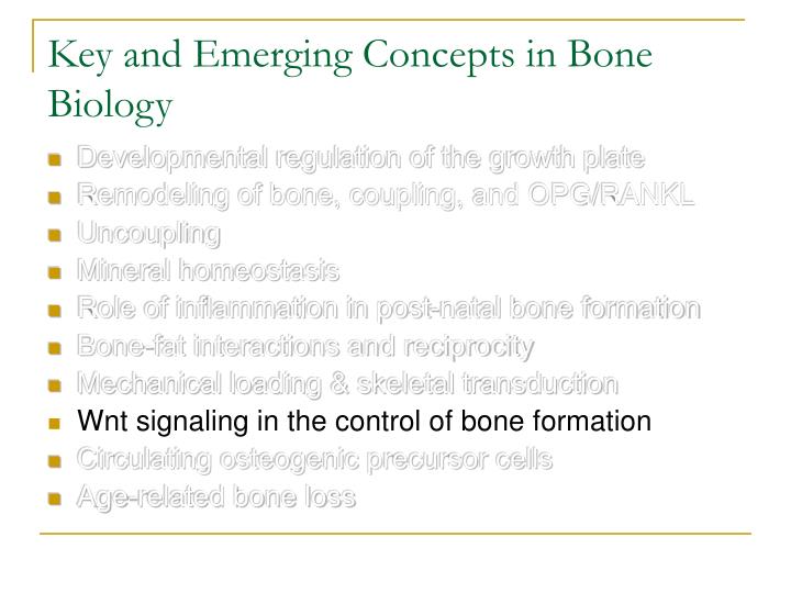 key and emerging concepts in bone biology