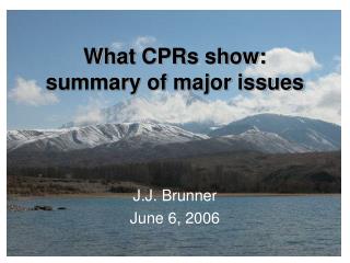What CPRs show: summary of major issues