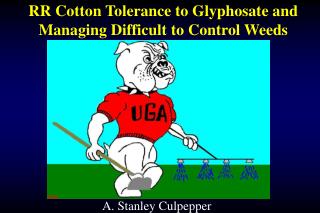RR Cotton Tolerance to Glyphosate and Managing Difficult to Control Weeds