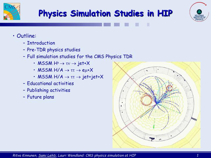 physics simulation studies in hip