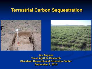 Terrestrial Carbon Sequestration