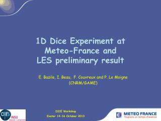 1D Dice Experiment at Meteo-France and LES preliminary result