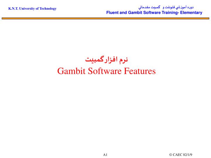 gambit software features