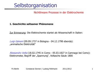 selbstorganisation