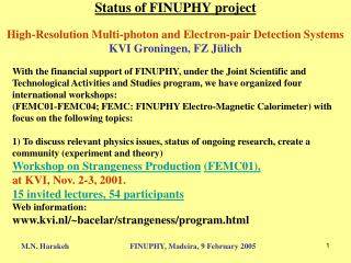 Status of FINUPHY project High-Resolution Multi-photon and Electron-pair Detection Systems