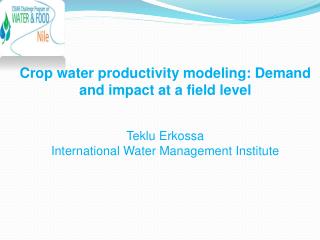 Crop water productivity modeling: Demand and impact at a field level