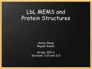 LbL MEMS and Protein Structures